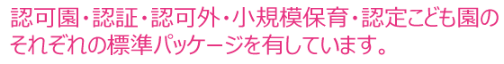 認可園・認証・認可外・小規模保育・認定こども園のそれぞれの標準パッケージを有しています。